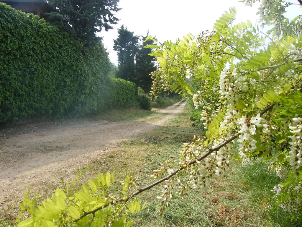 B&B Ca' Morino Verona Luaran gambar